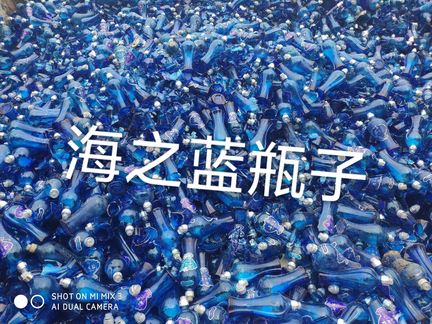 相城区海之蓝瓶回收
