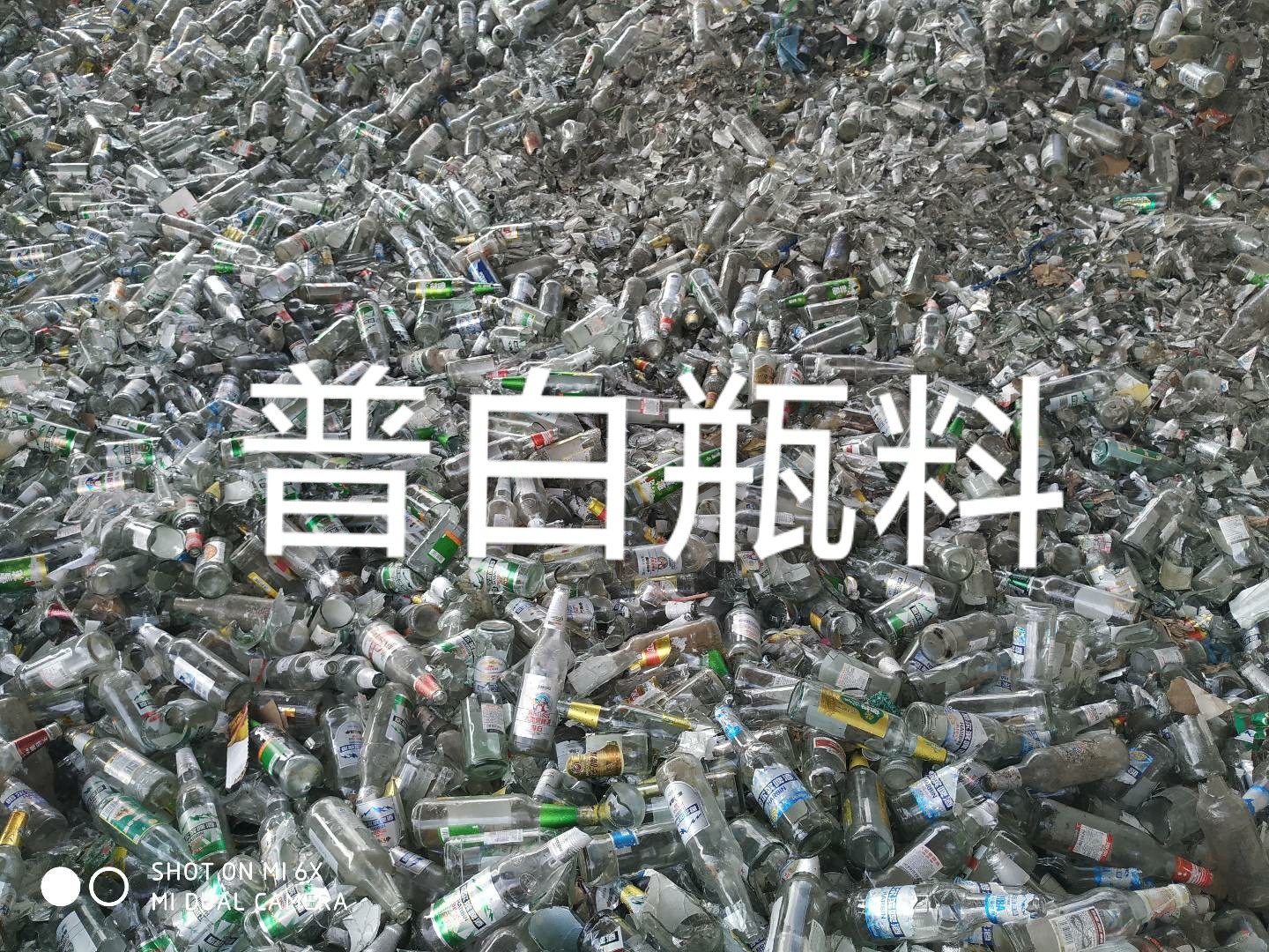 相城区普白瓶料回收